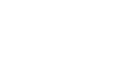 Disrupt Business Solutions